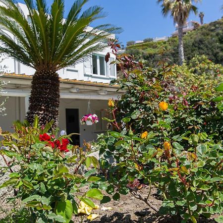 Villa Al Mare - Famiglia Calise Forio di Ischia Exteriör bild