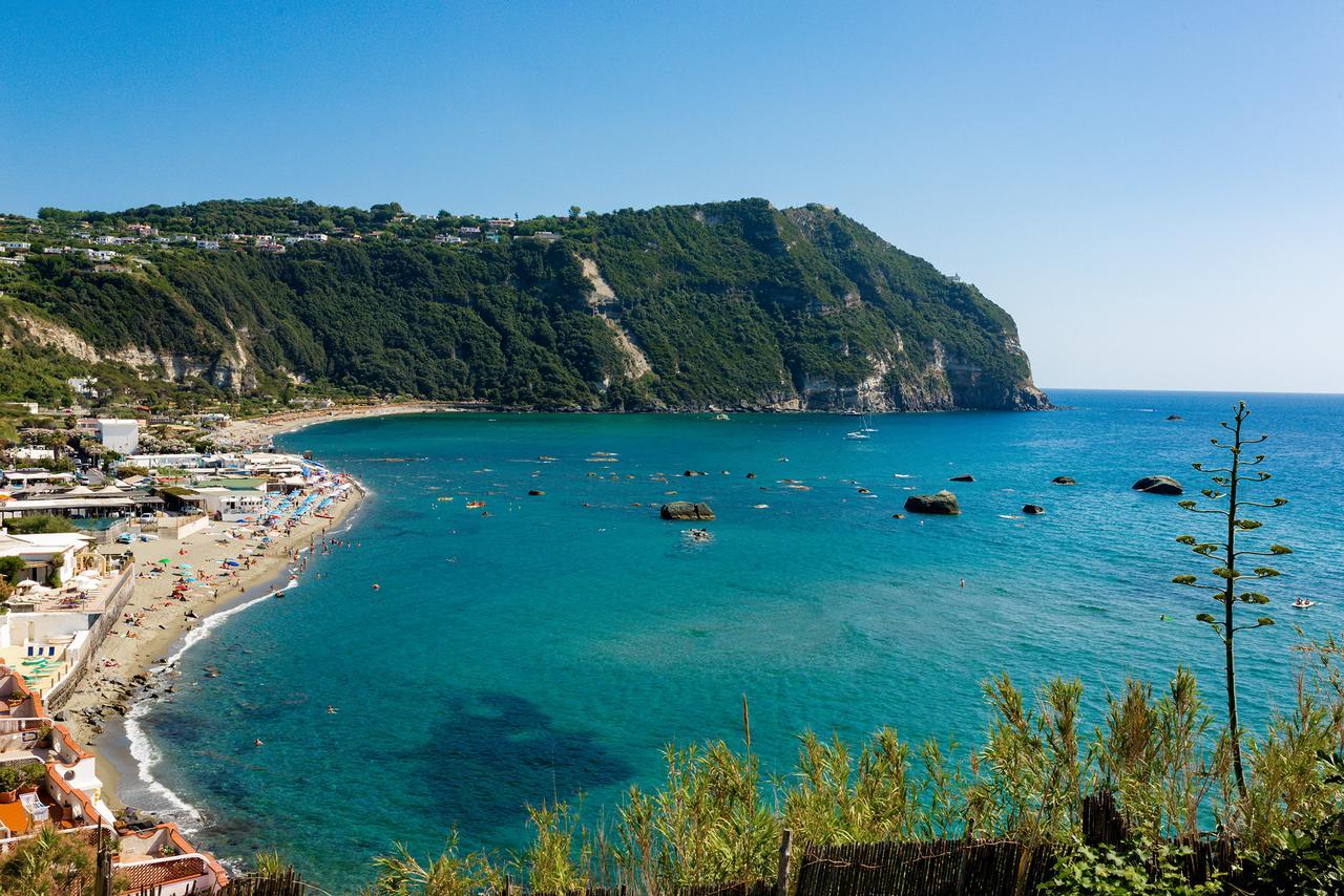 Villa Al Mare - Famiglia Calise Forio di Ischia Exteriör bild