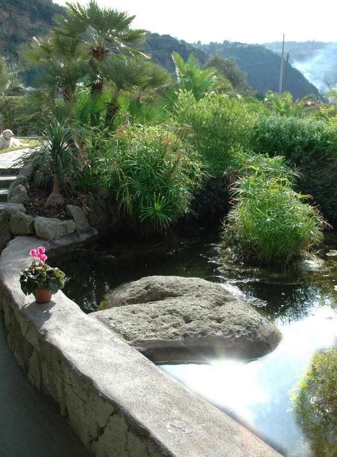 Villa Al Mare - Famiglia Calise Forio di Ischia Exteriör bild